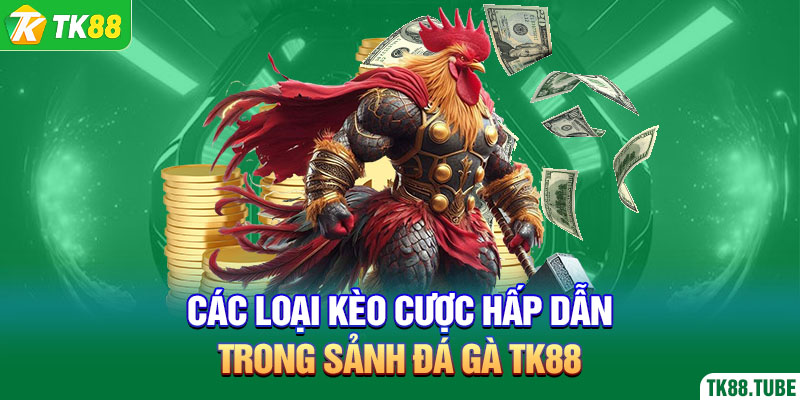 cac-loai-keo-cuoc-hap-dan-trong-sanh-da-ga-tk88