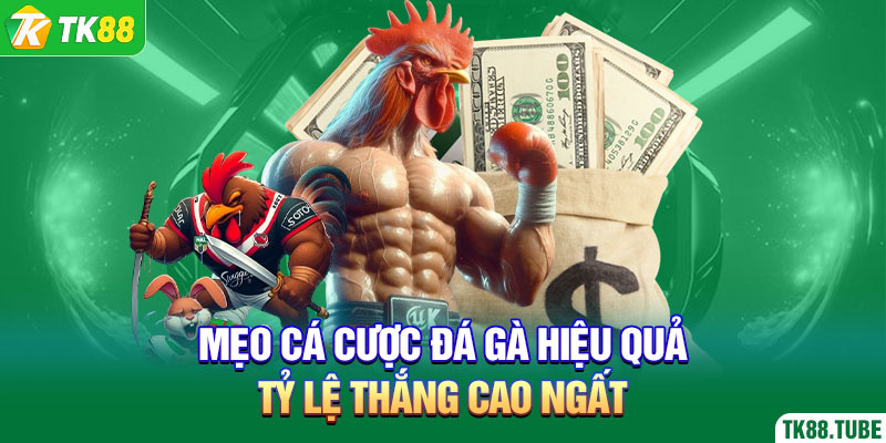 meo-ca-cuoc-da-ga-hieu-qua-ty-le-thang-cao-ngat